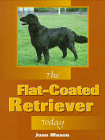 The flat coated retriever today