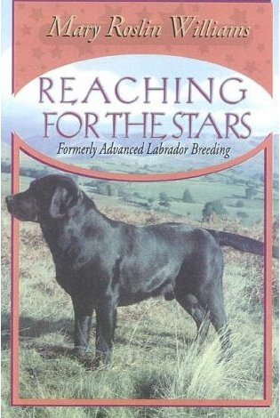 Buch:Reachin for the Stars